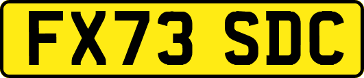 FX73SDC