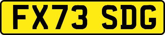 FX73SDG