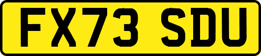 FX73SDU