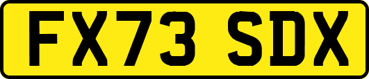 FX73SDX