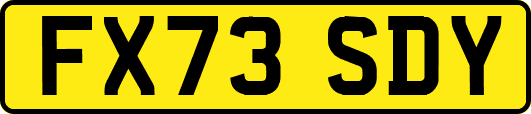 FX73SDY