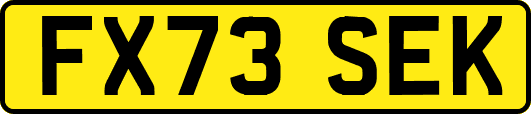 FX73SEK