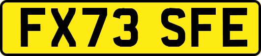 FX73SFE