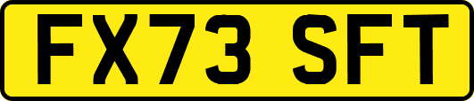 FX73SFT