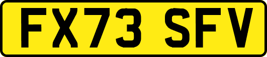 FX73SFV