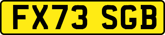FX73SGB