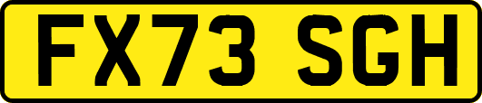 FX73SGH