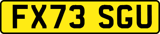 FX73SGU