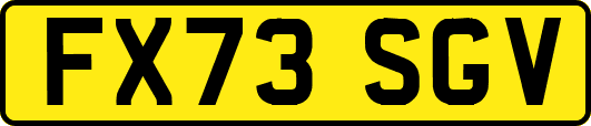 FX73SGV