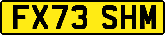 FX73SHM
