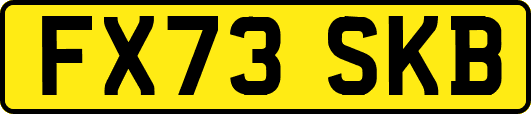 FX73SKB