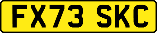 FX73SKC