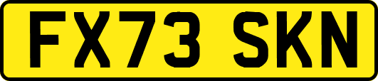FX73SKN