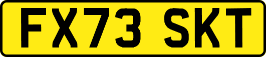 FX73SKT