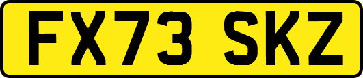 FX73SKZ
