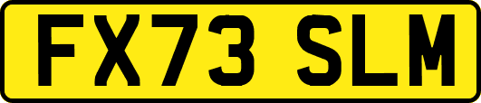 FX73SLM