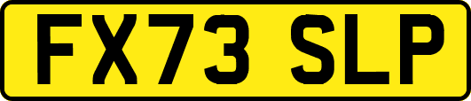 FX73SLP