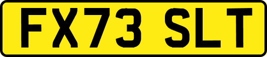 FX73SLT
