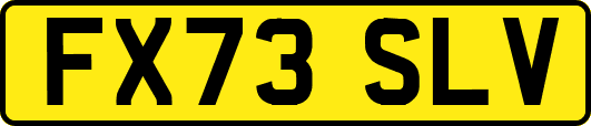 FX73SLV