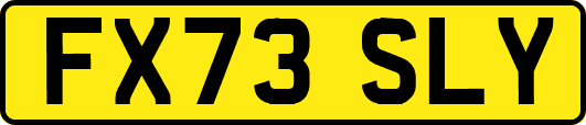 FX73SLY