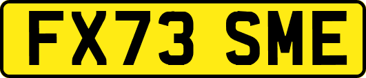 FX73SME