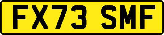 FX73SMF