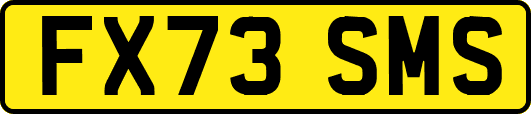 FX73SMS