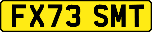 FX73SMT