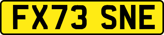 FX73SNE