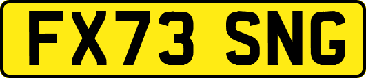 FX73SNG