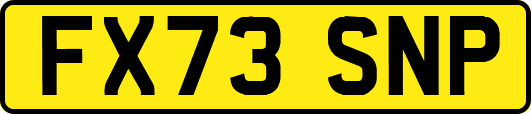 FX73SNP