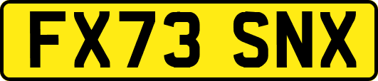 FX73SNX