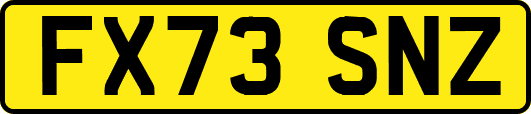 FX73SNZ