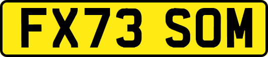 FX73SOM