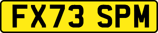FX73SPM