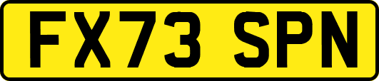 FX73SPN