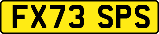 FX73SPS