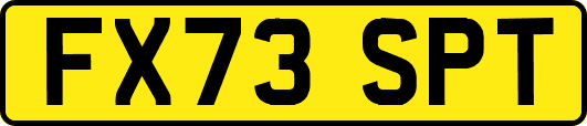 FX73SPT