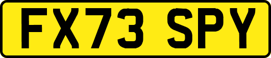 FX73SPY
