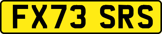 FX73SRS