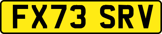 FX73SRV