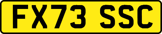 FX73SSC