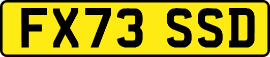 FX73SSD