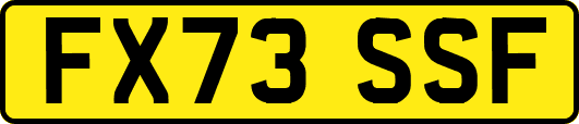 FX73SSF