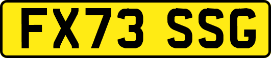 FX73SSG