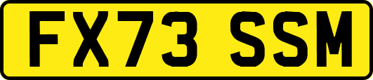 FX73SSM