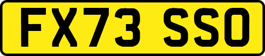 FX73SSO
