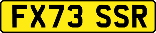 FX73SSR