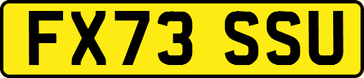 FX73SSU