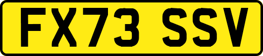 FX73SSV